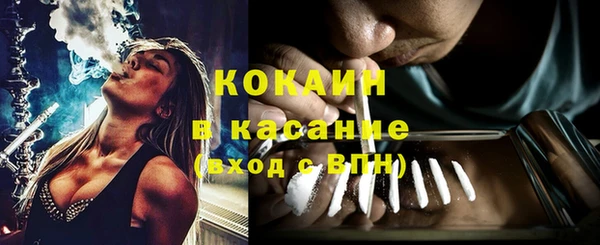 сатива Абаза