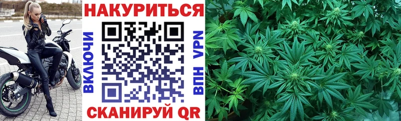 Бошки Шишки планчик  площадка какой сайт  Лабытнанги  закладки 